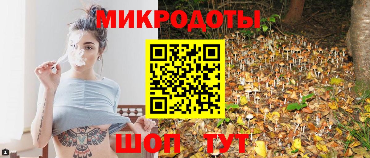 Галлюциногенные грибы Psilocybe Коломна