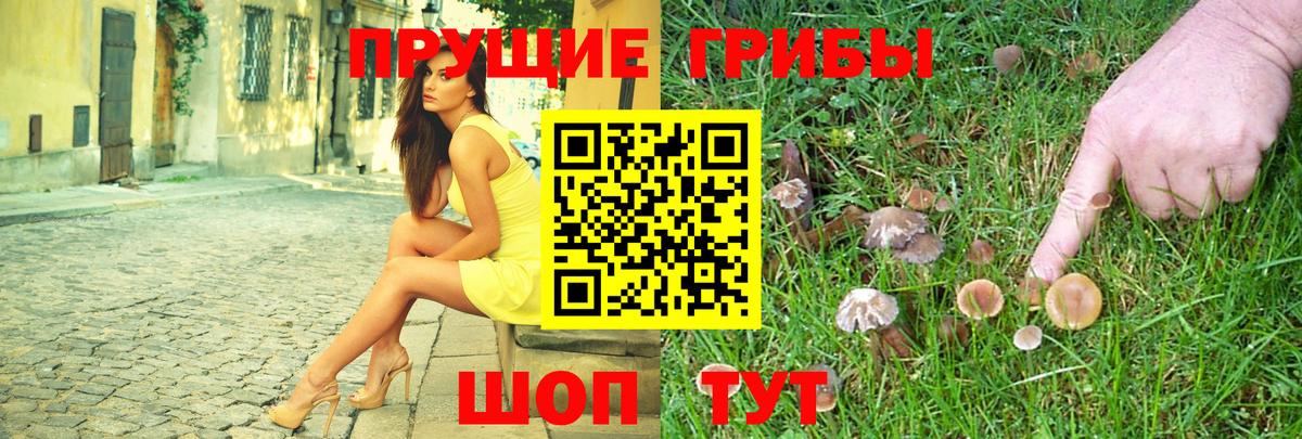 Галлюциногенные грибы Psilocybine cubensis  Вход с VPN  где найти наркотики  Коломна  Галлюциногенные грибы Psilocybe 